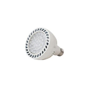 FOCO LED PAR30 45W
